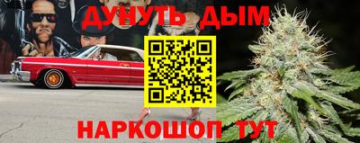спиды Можга