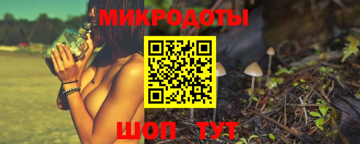 Галлюциногенные грибы прущие грибы Череповец